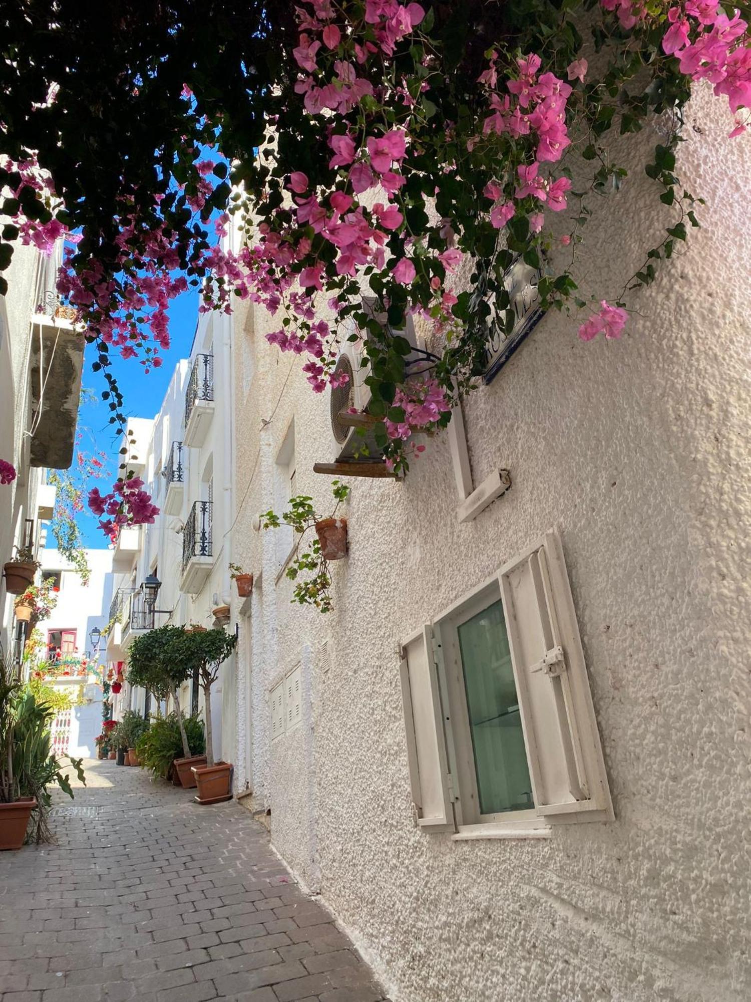 Aura Mar Mojacar Apartment Eksteriør billede
